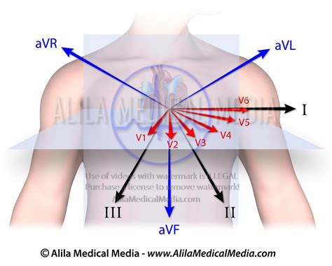 A well-planned approach to 12-lead ECG interpretation will prevent the interpreter from missing crucial information. Key aspects in the interpretation of the 12-lead ECG include the heart rate, the heart rhythm (both atrial and ventricular), the electrical axis (both the P-wave axis and the QRS axis), and knowledge of the normal intervals.